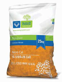 Calcium Nitrate 15.5/0/0+26CaO